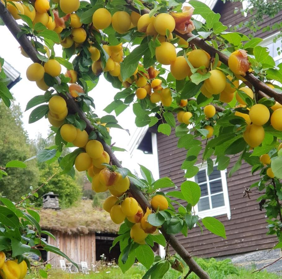 Heggjabygda Gjestegard, Nordfjordeid Exterior foto