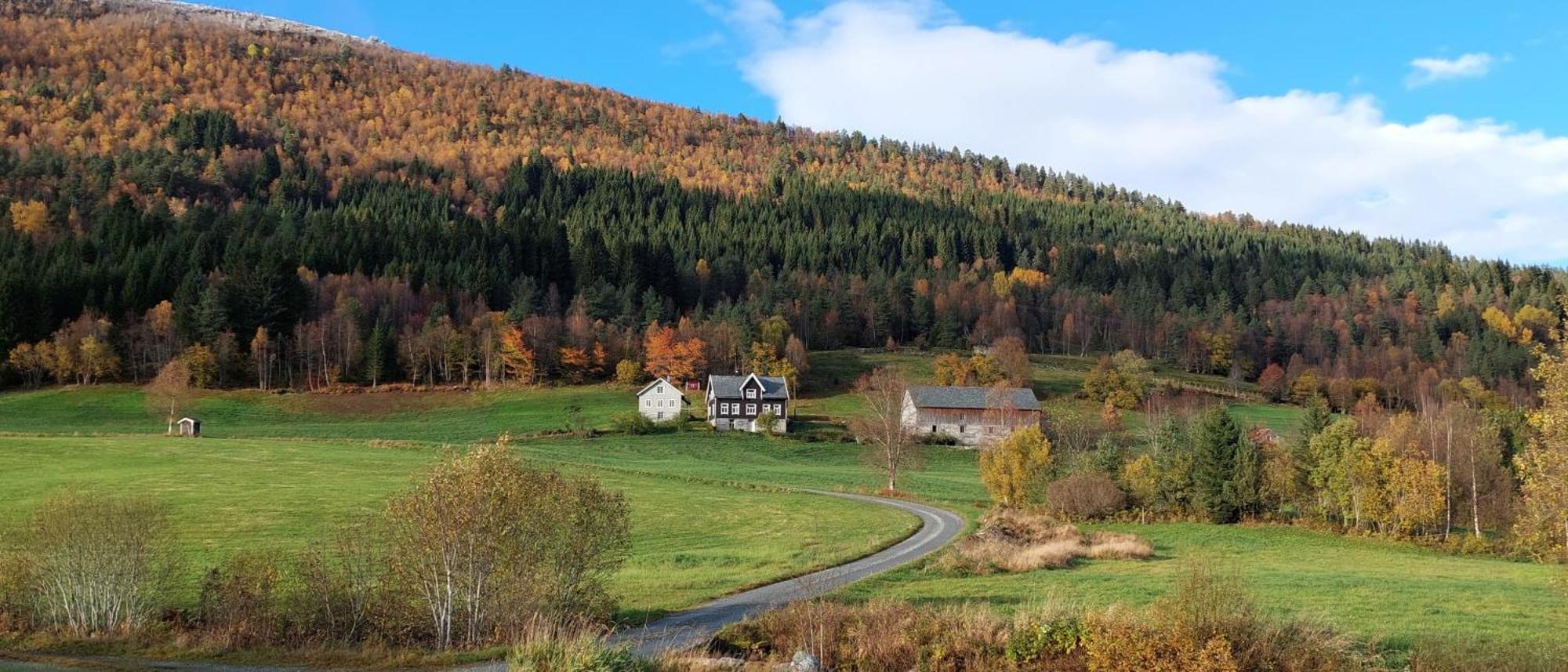 Heggjabygda Gjestegard, Nordfjordeid Exterior foto